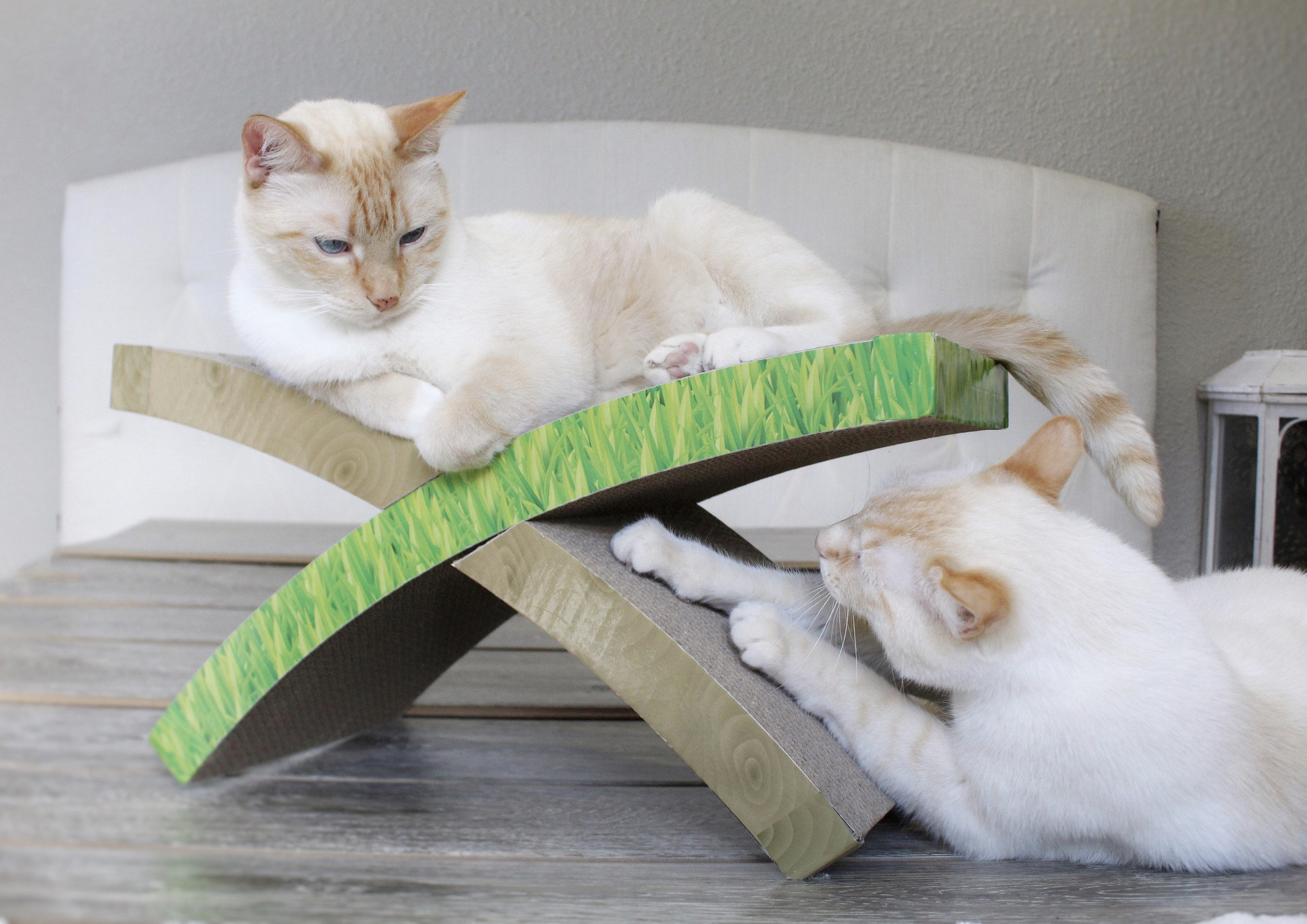 Petstages Easy Life Hammock Corrugated Cat Scratcher With Catnip Wayfair